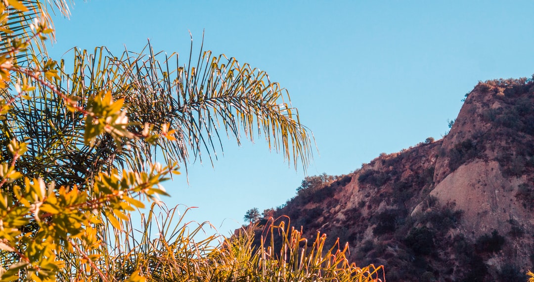 25Welcome Wallpapers