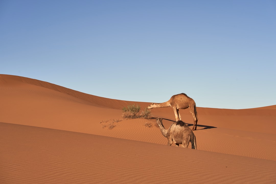 25Welcome Wallpapers